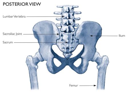 sacral side of si joint pdf